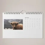 Thumb Cut Calendars