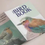 Heavyweight Stapled Booklets
